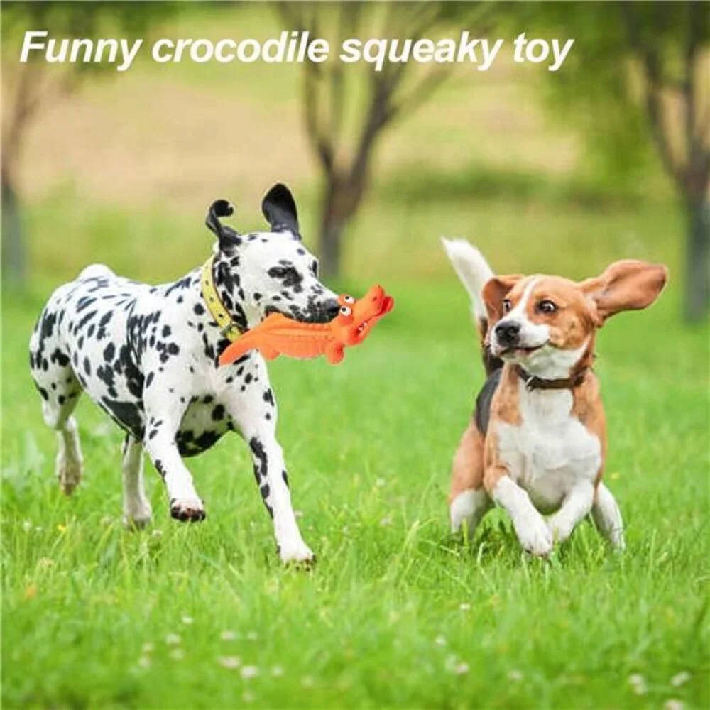 Squeaky Dog Toys for Chewers, Durable Dog Toys Natural For Large Breed